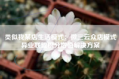 类似我某店生活模式：微三云众店模式异业联盟积分增值解决方案