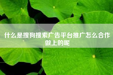 什么是搜狗搜索广告平台推广怎么合作做上的呢
