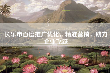 长乐市百度推广优化，精准营销，助力企业飞跃