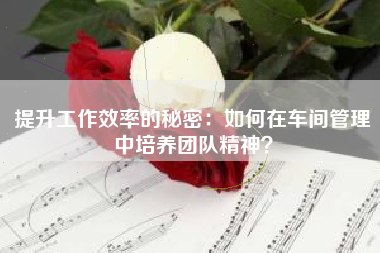 提升工作效率的秘密：如何在车间管理中培养团队精神？