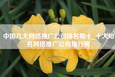 中国几大网络推广公司排名前十_十大知名网络推广公司排行榜