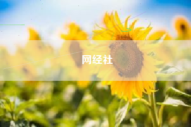 网经社