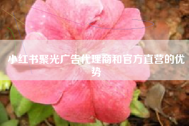 小红书聚光广告代理商和官方直营的优势