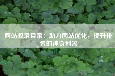 网站收录目录：助力网站优化，提升排名的神奇利器
