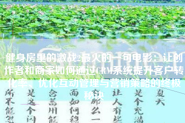 健身房里的激战2最火的一句电影：让创作者和商家如何通过CRM系统提升客户转化率、优化互动管理与营销策略的终极秘诀