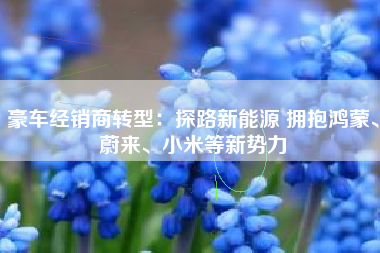 豪车经销商转型：探路新能源 拥抱鸿蒙、蔚来、小米等新势力
