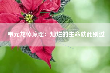 韦元龙悼琼瑶：灿烂的生命就此别过