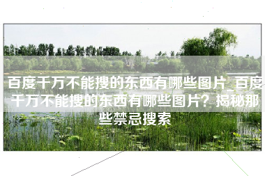 百度千万不能搜的东西有哪些图片_百度千万不能搜的东西有哪些图片？揭秘那些禁忌搜索