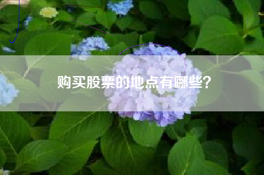 购买股票的地点有哪些？