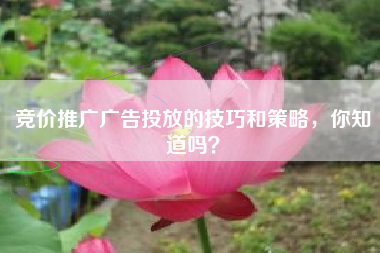 竞价推广广告投放的技巧和策略，你知道吗？