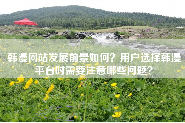 韩漫网站发展前景如何？用户选择韩漫平台时需要注意哪些问题？