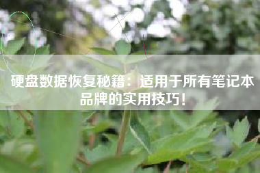 硬盘数据恢复秘籍：适用于所有笔记本品牌的实用技巧！