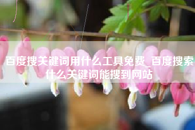 百度搜关键词用什么工具免费_百度搜索什么关键词能搜到网站