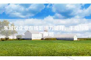 东城区企业在线影响力提升，手动与推广策略