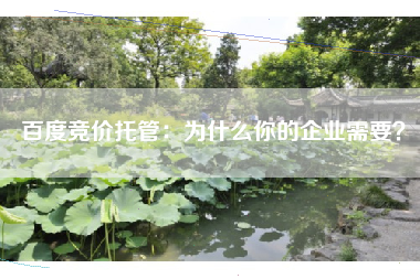 百度竞价托管：为什么你的企业需要？