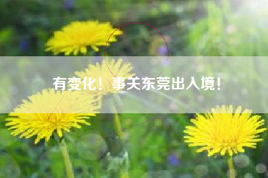 有变化！事关东莞出入境！