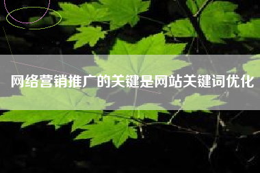 网络营销推广的关键是网站关键词优化