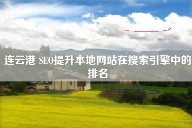 连云港 SEO提升本地网站在搜索引擎中的排名