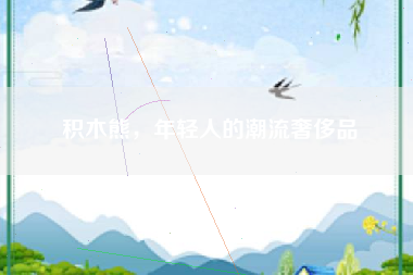 积木熊，年轻人的潮流奢侈品