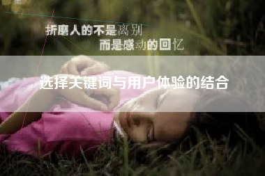 选择关键词与用户体验的结合