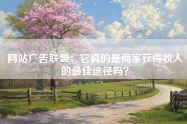 网站广告联盟：它真的是商家获得收入的最佳途径吗？