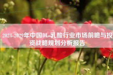 2024-2029年中国DL-乳酸行业市场前瞻与投资战略规划分析报告