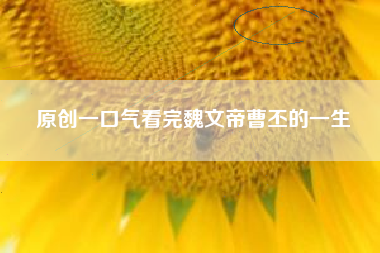 原创一口气看完魏文帝曹丕的一生