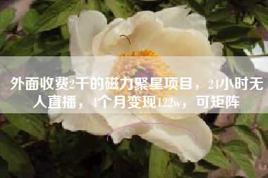 外面收费2千的磁力聚星项目，24小时无人直播，4个月变现122w，可矩阵