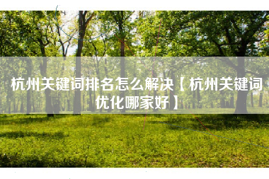 杭州关键词排名怎么解决【杭州关键词优化哪家好】