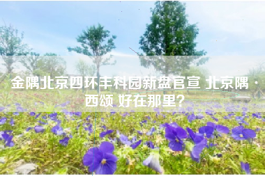 金隅北京四环丰科园新盘官宣 北京隅·西颂 好在那里？