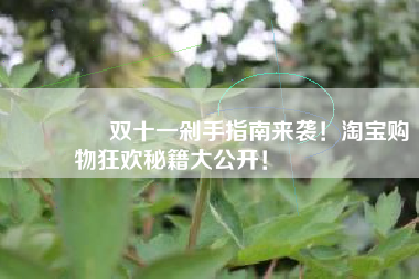🔥双十一剁手指南来袭！淘宝购物狂欢秘籍大公开！🔥