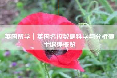 英国留学｜英国名校数据科学与分析硕士课程概览