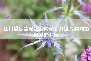 江门模板建站定制网站，打造专属网络形象的利器