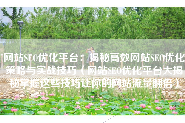 网站SEO优化平台：揭秘高效网站SEO优化策略与实战技巧（网站SEO优化平台大揭秘掌握这些技巧让你的网站流量翻倍）