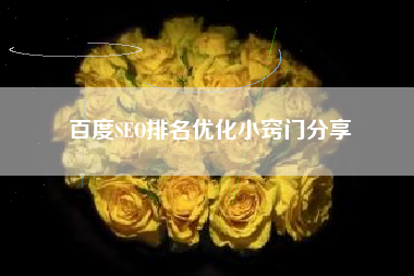 百度SEO排名优化小窍门分享