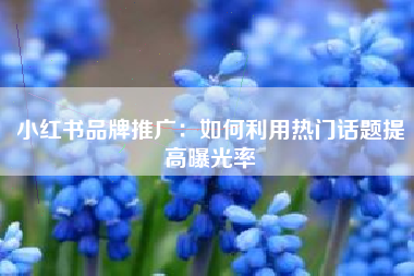 小红书品牌推广：如何利用热门话题提高曝光率