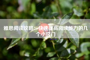 雅思阅读攻略：快速提高阅读能力的几个小窍门
