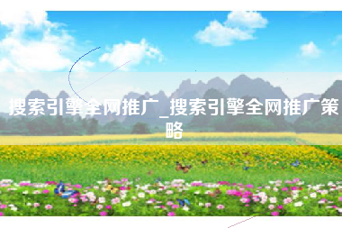 搜索引擎全网推广_搜索引擎全网推广策略