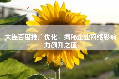 大连百度推广优化，揭秘企业网络影响力飙升之道