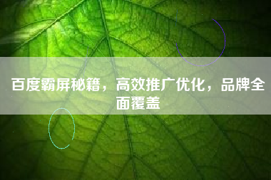 百度霸屏秘籍，高效推广优化，品牌全面覆盖