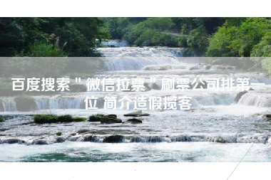 百度搜索＂微信拉票＂刷票公司排第一位 简介造假揽客