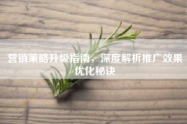 营销策略升级指南，深度解析推广效果优化秘诀