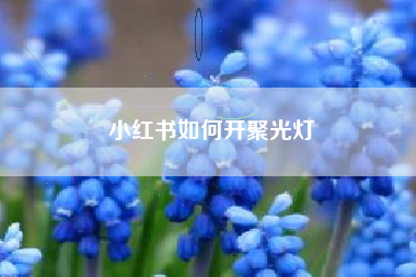 小红书如何开聚光灯