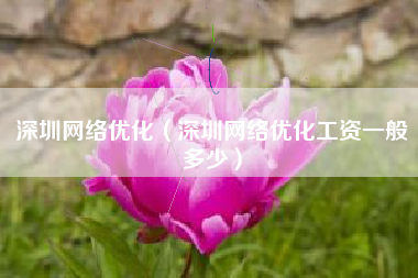 深圳网络优化（深圳网络优化工资一般多少）