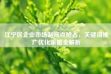 江宁区企业市场制高点抢占，关键词推广优化策略全解析