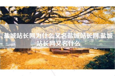 盐城站长网为什么又名盐城站长网,盐城站长网又名什么