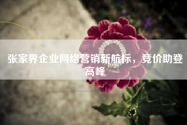 张家界企业网络营销新航标，竞价助登高峰