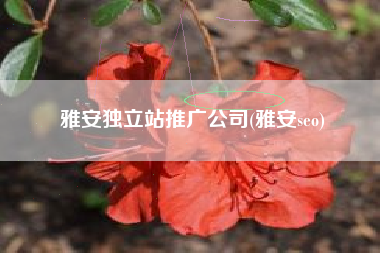雅安独立站推广公司(雅安seo)