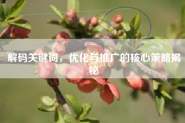 解码关键词，优化与推广的核心策略揭秘