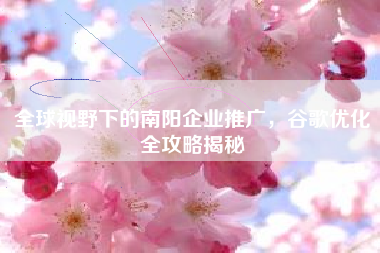全球视野下的南阳企业推广，谷歌优化全攻略揭秘